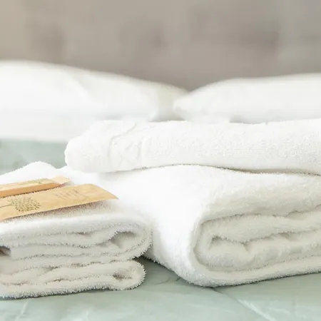 Casa Rebecca Elegant Cit Daire Torino